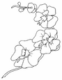 Laminas para colorear dibujos de primavera 8
